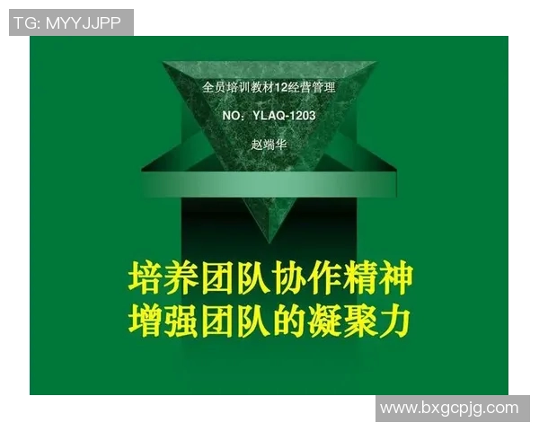 网球盛宴：深入解析北京网球队的协作精神与团队魅力