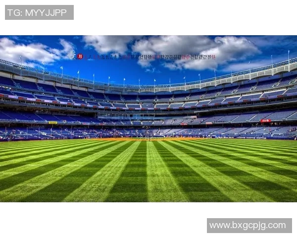 从零基础到足球高手全面指南助你掌握足球力量与技巧的完美攻略