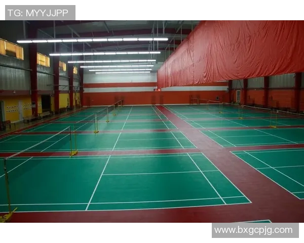 北京羽毛球队在钻石联赛中的战术分析与表现评估