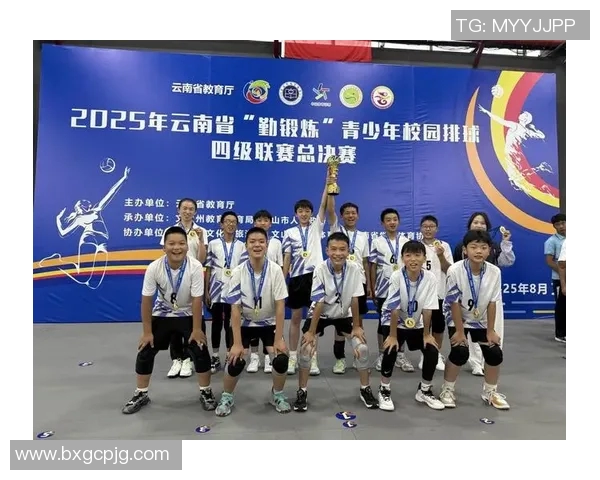 南京排球队在钻石联赛中的拼搏历程与荣耀时刻全景回顾