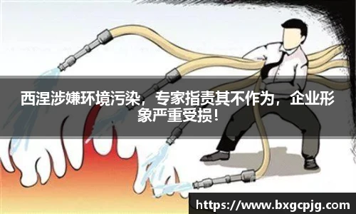熊猫体育官网