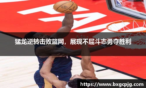 熊猫体育官方网站