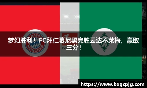 熊猫体育官网