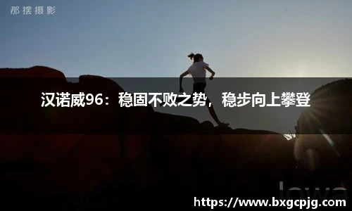 汉诺威96：稳固不败之势，稳步向上攀登