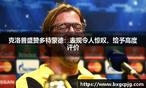 熊猫体育平台