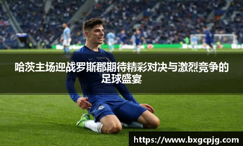 熊猫体育官网