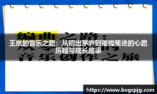 王岚的音乐之路：从初出茅庐到璀璨星途的心路历程与成长故事