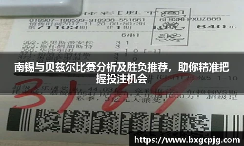 熊猫体育官网